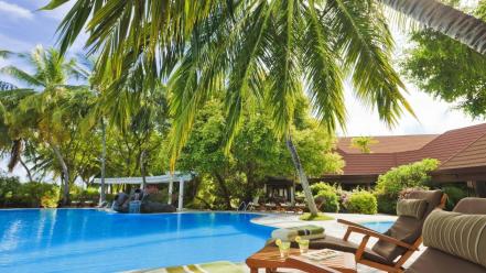 Relax palm trees spa wallpaper