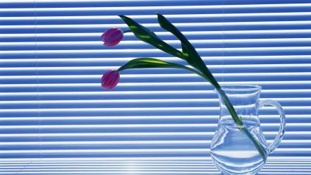 Tulips still life mini blinds wallpaper