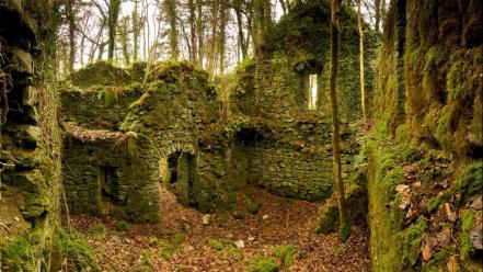 Autumn (season) ruins forest leaves ireland moss wallpaper