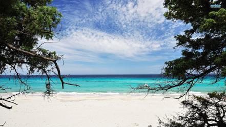 Nature beach sand trees sea wallpaper