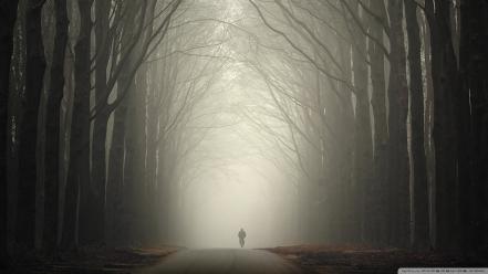 Nature trees autumn (season) alone roads wallpaper