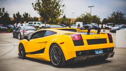 Yellow cars lamborghini lambo wallpaper