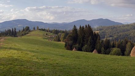 Green landscapes nature wallpaper