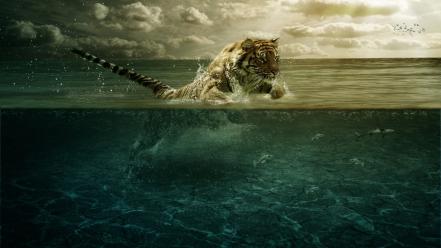 Nature tigers split-view wallpaper