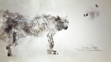 Light evolution artwork speedart wolves wallpaper