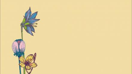 Minimalistic flowers drawings three wallpaper