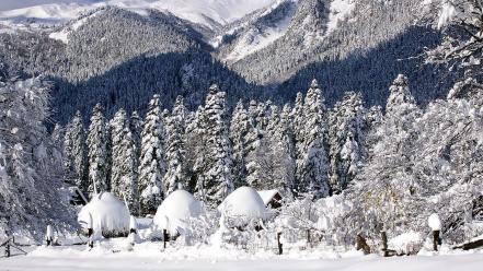 Mountains winter snow trees forest wallpaper