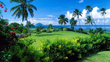 Nature wallpaper