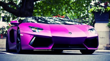 Pink cars lamborghini aventador low-angle shot wallpaper