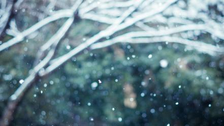 Snow trees blurred wallpaper