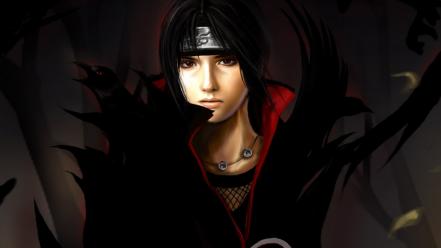 Birds naruto: shippuden akatsuki uchiha itachi wallpaper