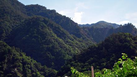 Light green mountains trees morning skyscapes wallpaper