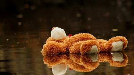 Water toys (children) stuffed animals reflections wallpaper