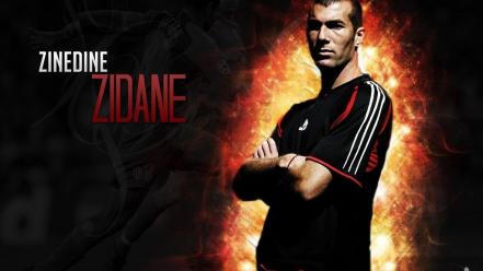 Zinedine zidane wallpaper
