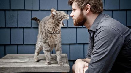 Cats animals men beard wallpaper