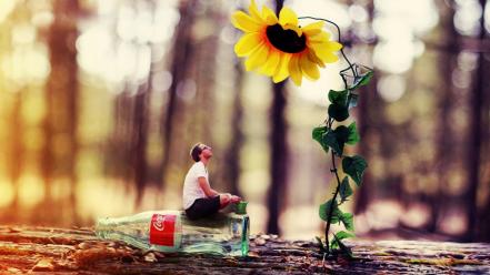 Coca-cola sunflowers wallpaper