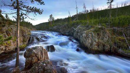 Landscapes trees rivers wallpaper