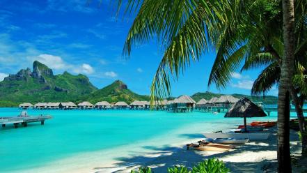 Water nature sand palm trees sea wallpaper