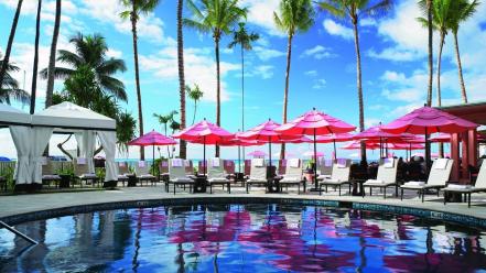 Chairs palm trees swimming pools wallpaper