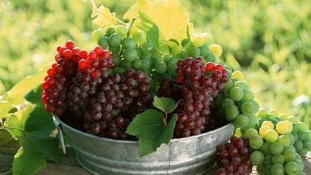 Grapes wallpaper