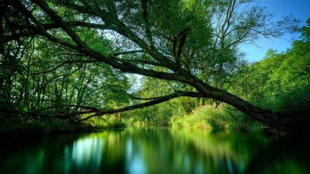 Nature wallpaper