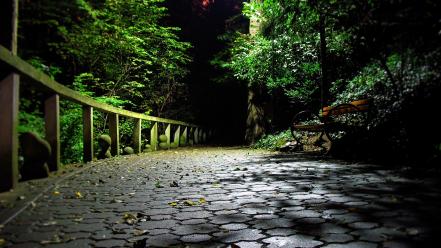Nature night walk romania parks wallpaper