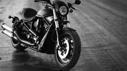 Night harley special rod wallpaper