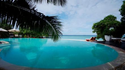 Palm trees swimming pools wallpaper