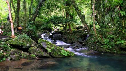 Waterfalls wallpaper