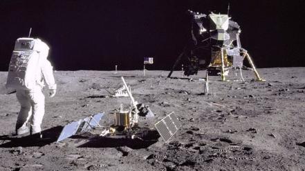 Apollo 11 neil armstrong a big lie wallpaper