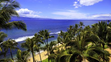 Ocean beach tropical paradise palm trees skies wallpaper