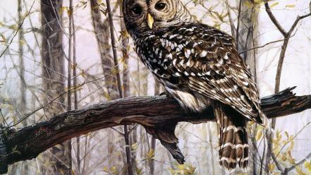 Owls wallpaper