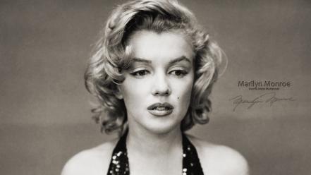 People marilyn monroe monochrome faces factor portraits wallpaper