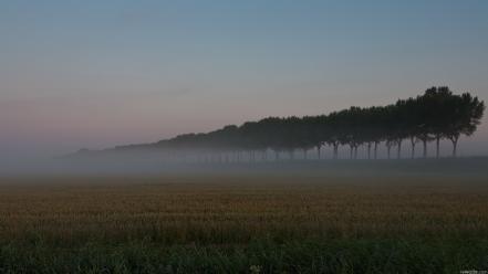 Trees fields mist wallpaper