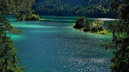 Water trees islands lakes wallpaper