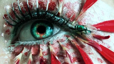 Fly eye wallpaper