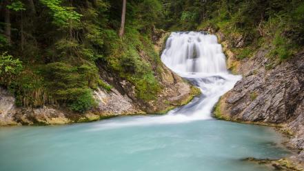 Forest rivers wallpaper