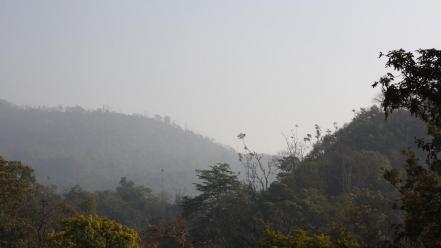 Mountains landscapes trees forest india wallpaper