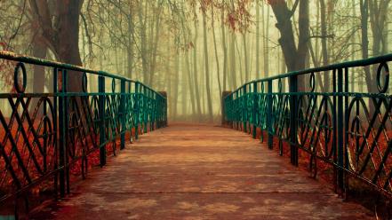 Fantasy nature trees forest seasons bridges reality kr wallpaper