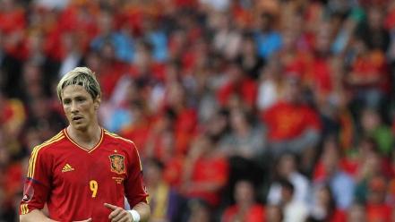 Fernando torres la roja wallpaper