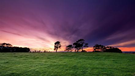 Landscapes trees wallpaper