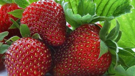 Fruits food strawberries wallpaper