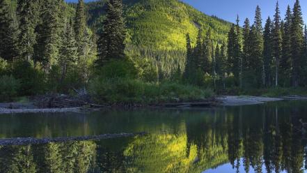 British columbia hart pine reflections wallpaper