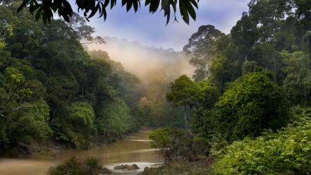 Dawn malaysia wallpaper