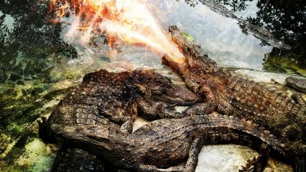 Fire crocodiles reptiles photomanipulation wallpaper