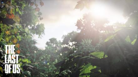 Leaves sunlight artwork the last of us wallpaper