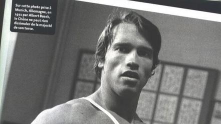 Men arnold schwarzenegger training wallpaper
