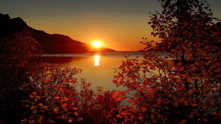 Nature wallpaper