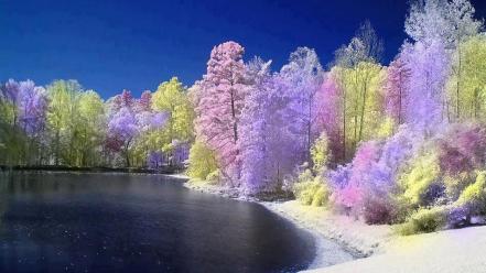 Water nature forest summer wallpaper
