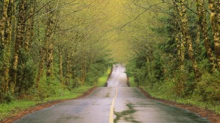 British columbia canada country vancouver islands wallpaper